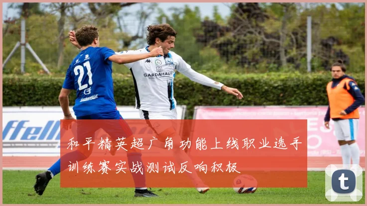 和平精英超广角功能上线职业选手训练赛实战测试反响积极