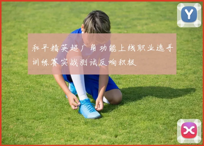 和平精英超广角功能上线职业选手训练赛实战测试反响积极